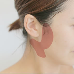 カーボキシーパック 「耳下腺」がポイント
