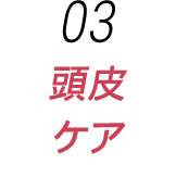 表皮・真皮の細胞活性