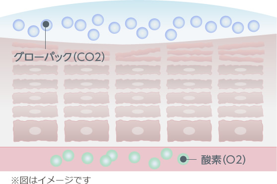 エニシーグローパック　STEP01　お肌の上で炭酸ガスが発生