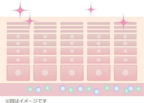 エニシーグローパック　STEP03　肌本来の動きを取り戻す