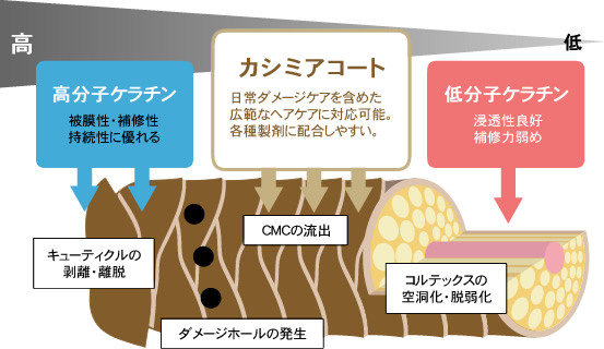 キューティクルを守り美しいまつ毛に