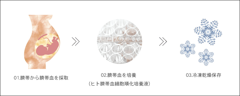 年齢肌をケア