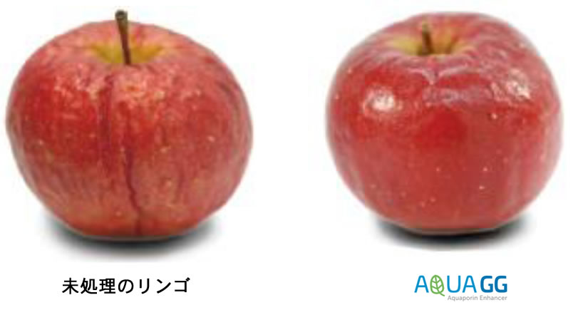 保湿効果実験