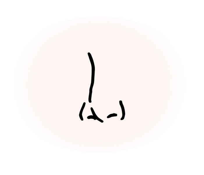 鼻筋が通っている